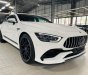 Mercedes-AMG GT 53 2024 -  2024 số tự động tại Hà Nội