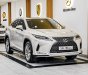 Lexus RX 300 2022 - Xe mới đến 99% cần bán