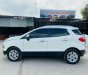 Ford EcoSport 2014 - Sơn căng bóng