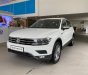 Volkswagen Tiguan 2022 - Mẫu xe đáng mua nhất thời điểm hiện tại