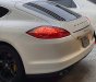 Porsche Panamera 2009 - Model 2010, full options