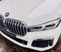 BMW 730Li 2022 - Nhập khẩu nguyên chiếc từ Đức