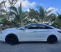 Hyundai Sonata 2010 - Xe nhập khẩu, màu trắng