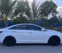 Hyundai Sonata 2010 - Xe thuộc phân khúc D sang trọng