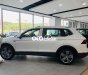 Volkswagen Tiguan CHƯƠNG TRÌNH ƯU ĐÃI  Bình Dương_ E 2022 - CHƯƠNG TRÌNH ƯU ĐÃI Volkswagen Bình Dương_Tiguan E