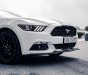 Ford Mustang 2015 - Nhập Mỹ thêm option pô full Res