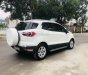 Ford EcoSport 2015 - Xe gia đình đẹp long lanh