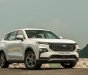 Ford Territory 2022 - Sẵn xe - Đủ màu giao ngay - Giá quá hợp lý cho 1 siêu phẩm