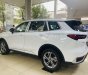 Ford Territory 2022 - Đủ phiên bản, đủ màu, giao tháng 12, giá ưu đãi tốt, tặng full gói quà tặng phụ kiện, đăng ký lăn bánh, giao xe tận nơi