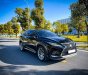 Lexus RX 350 2019 - Cam kết hoàn toàn về chất lượng