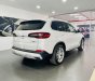 BMW X5 2022 - Giá 4 tỷ 019 triệu - Sẵn giao ngay