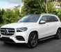 Mercedes-Benz GLS 450 2022 - Xe có sẵn giao ngay - Hỗ trợ lái thử tận nhà