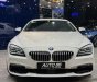 BMW 640i 2017 - Nhập Đức nguyên chiếc - Nội thất da nâu sang trọng - hỗ trợ bank NH