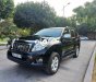 Toyota Land Cruiser Prado land prado 2011 - land prado