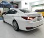 Lexus ES 300 2020 - Hybrid model 2021