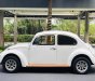 Volkswagen Beetle 2022 - Volkswagen Beetle 2022