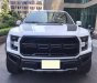 Ford F 150 2019 - Siêu bán tải siêu lướt