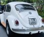 Volkswagen Beetle 2022 - Volkswagen Beetle 2022