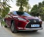 Lexus RX 300 2020 - Giá 3 tỷ 150tr, xe đẹp sang trọng