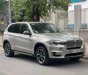 BMW X5 2013 - Xe màu bạc