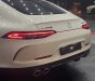 Mercedes-AMG GT 53 2022 - 1 chiếc duy nhất - Giao ngay