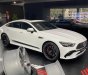 Mercedes-AMG GT 53 2022 - 1 chiếc duy nhất - Giao ngay