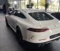 Mercedes-AMG GT 53 2022 - 1 chiếc duy nhất - Giao ngay