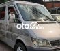 Mercedes-Benz Sprinter MERCEDES  16 CHỖ 2010 313 2010 - MERCEDES SPRINTER 16 CHỖ 2010 313