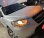 Hyundai Santa Fe 2007 - Cần bán xe giá cực tốt
