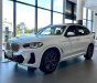 BMW X3 2022 - Msport LCI 2023, ưu đãi dịp tết lên đến 100tr, quà tặng vô vàn theo xe, giá tốt nhất cuối năm