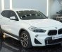 BMW X2 2018 - Xe được chăm sóc và bảo dưỡng kỹ càng