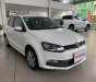 Volkswagen Polo 2016 - Nhập Ấn