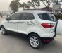 Ford EcoSport 2016 - Xe màu trắng, giá cực tốt