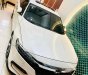 Honda Accord 2019 - Bán xe mẫu mới, chính chủ sử dụng, odo 26000km, mới 98%
