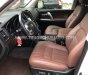 Toyota Land Cruiser 2013 - Màu trắng, xe nhập