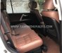 Toyota Land Cruiser 2013 - Màu trắng, xe nhập