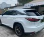 Lexus RX 300 2021 - Đăng ký 1/2022