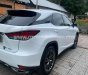 Lexus RX 300 2021 - Đăng ký 1/2022