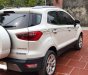 Ford EcoSport 2020 - Chính chủ nên đời bán