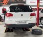 Volkswagen Tiguan 2013 - Xe màu trắng, nhập khẩu nguyên chiếc