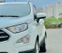 Ford EcoSport 2019 - Màu trắng