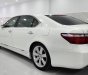 Lexus LS 600 2009 - Xe gia đình bán