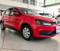 Volkswagen Polo 2016 - Nhập khẩu nguyên chiếc số tự động, 330 triệu