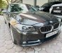 BMW 520i 2014 - Nâu Havana