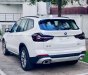 BMW X3 2022 - Sẵn xe giao ngay, tặng tiền mặt + gói quà tặng phụ kiện Tết cực hấp dẫn - LH Thuỳ Dương ngay