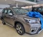 Subaru Forester 2022 - Đồng ánh kim giảm tiền mặt + phụ kiện chính hãng