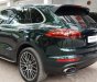 Porsche Cayenne 2015 - Nhập khẩu nguyên chiếc