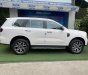 Ford Everest 2023 - Bản 1 cầu, bản nâng cấp năm 2023