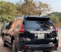 Toyota Land Cruiser Prado 2010 - Xe độ nguyên con