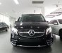 Mercedes-Benz V250 2023 - Màu đen, nhập khẩu